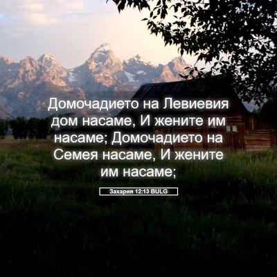 Picture 05 - Захария 12:13 BULG - Домочадието на Левиевия - Bible Verse Picture