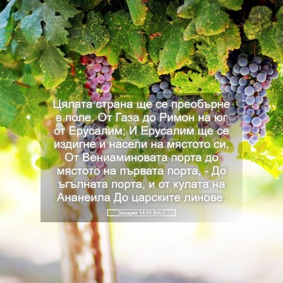 Picture 05 - Захария 14:10 BULG - Цялата страна ще се - Bible Verse Picture