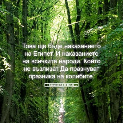 Picture 05 - Захария 14:19 BULG - Това ще бъде наказанието - Bible Verse Picture