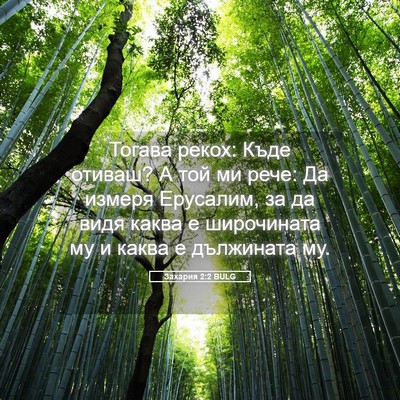 Picture 05 - Захария 2:2 BULG - Тогава рекох: Къде отиваш? - Bible Verse Picture