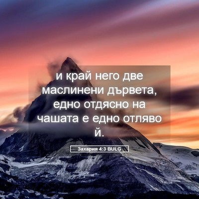 Picture 05 - Захария 4:3 BULG - и край него две маслинени - Bible Verse Picture