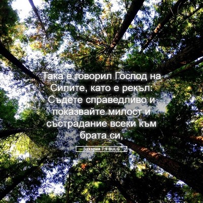 Picture 05 - Захария 7:9 BULG - Така е говорил Господ на - Bible Verse Picture