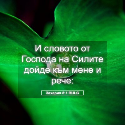 Picture 05 - Захария 8:1 BULG - И словото от Господа на - Bible Verse Picture