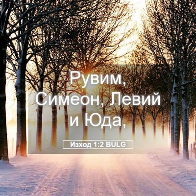 Picture 05 - Изход 1:2 BULG - Рувим, Симеон, Левий и - Bible Verse Picture