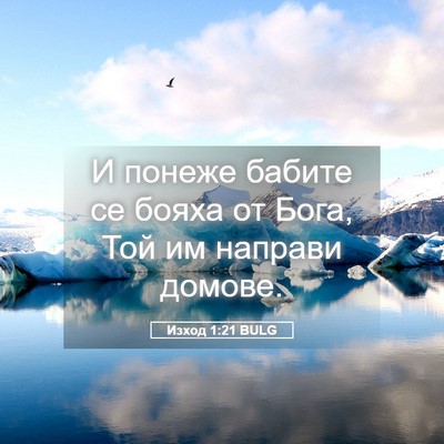 Picture 05 - Изход 1:21 BULG - И понеже бабите се бояха от - Bible Verse Picture