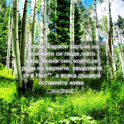 Picture 05 - Изход 1:22 BULG - Тогава Фараон заръча на - Bible Verse Picture