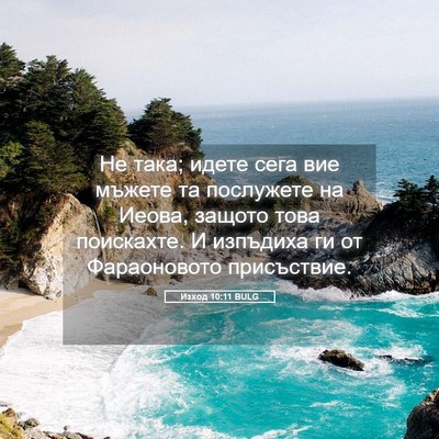 Picture 05 - Изход 10:11 BULG - Не така; идете сега вие - Bible Verse Picture