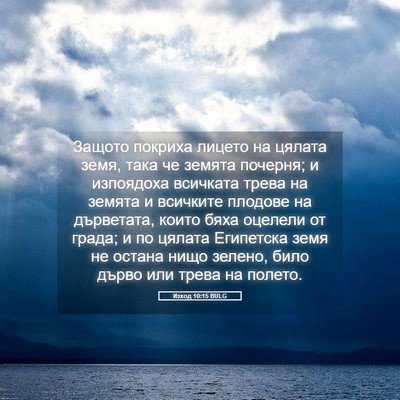 Picture 05 - Изход 10:15 BULG - Защото покриха лицето на - Bible Verse Picture