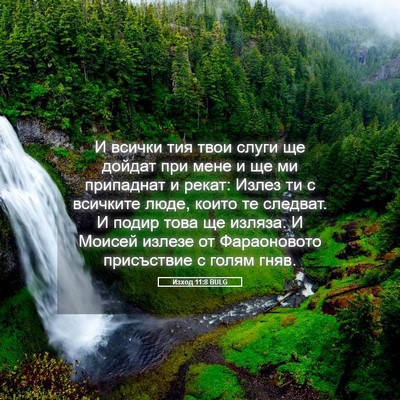 Picture 05 - Изход 11:8 BULG - И всички тия твои слуги ще - Bible Verse Picture