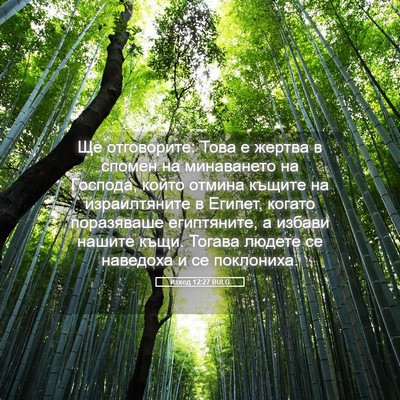Picture 05 - Изход 12:27 BULG - Ще отговорите: Това е - Bible Verse Picture