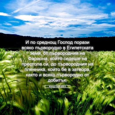 Picture 05 - Изход 12:29 BULG - И по среднощ Господ порази - Bible Verse Picture