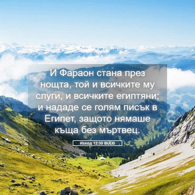 Picture 05 - Изход 12:30 BULG - И Фараон стана през нощта, - Bible Verse Picture
