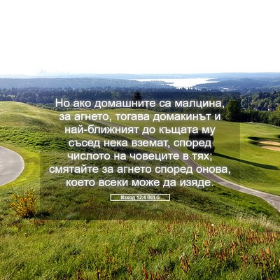 Picture 05 - Изход 12:4 BULG - Но ако домашните са - Bible Verse Picture
