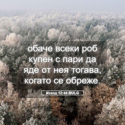 Picture 05 - Изход 12:44 BULG - обаче всеки роб купен с - Bible Verse Picture