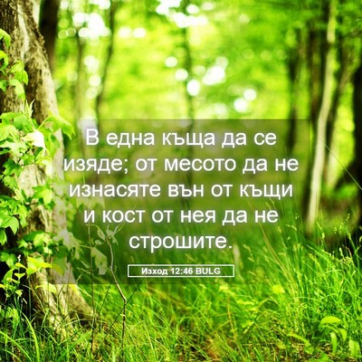 Picture 05 - Изход 12:46 BULG - В една къща да се изяде; от - Bible Verse Picture