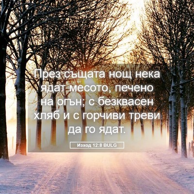Picture 05 - Изход 12:8 BULG - През същата нощ нека ядат - Bible Verse Picture