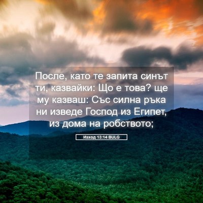 Picture 05 - Изход 13:14 BULG - После, като те запита синът - Bible Verse Picture