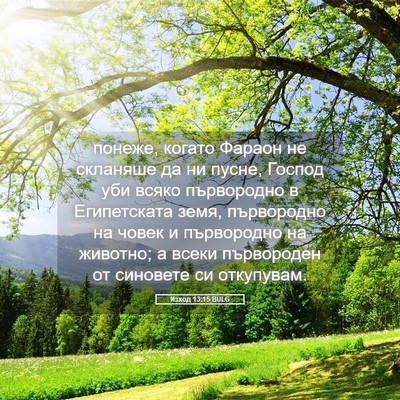 Picture 05 - Изход 13:15 BULG - понеже, когато Фараон не - Bible Verse Picture