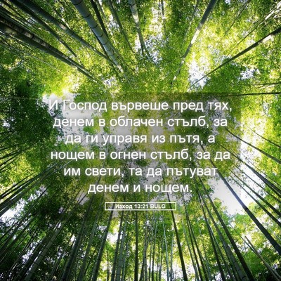 Picture 05 - Изход 13:21 BULG - И Господ вървеше пред тях, - Bible Verse Picture