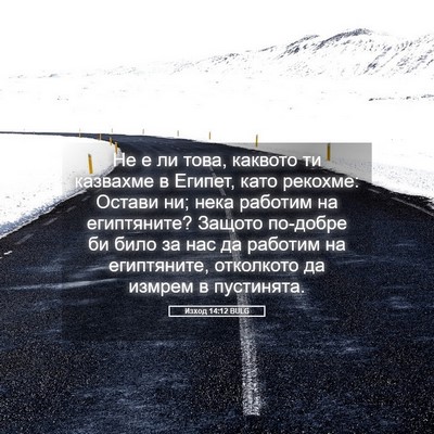 Picture 05 - Изход 14:12 BULG - Не е ли това, каквото ти - Bible Verse Picture