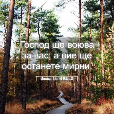 Picture 05 - Изход 14:14 BULG - Господ ще воюва за вас, а - Bible Verse Picture