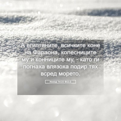 Picture 05 - Изход 14:23 BULG - А египтяните, всичките - Bible Verse Picture