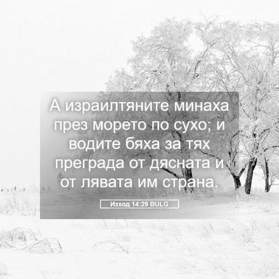 Picture 05 - Изход 14:29 BULG - А израилтяните минаха през - Bible Verse Picture