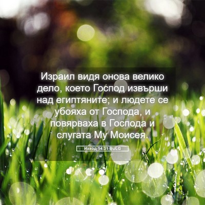 Picture 05 - Изход 14:31 BULG - Израил видя онова велико - Bible Verse Picture
