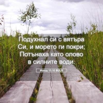 Picture 05 - Изход 15:10 BULG - Подухнал си с вятъра Си, и - Bible Verse Picture