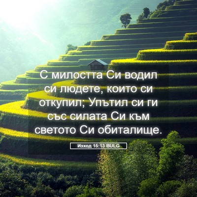 Picture 05 - Изход 15:13 BULG - С милостта Си водил си - Bible Verse Picture