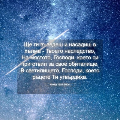 Picture 05 - Изход 15:17 BULG - Ще ги въведеш и насадиш в - Bible Verse Picture