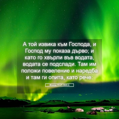 Picture 05 - Изход 15:25 BULG - А той извика към Господа, и - Bible Verse Picture