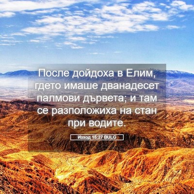 Picture 05 - Изход 15:27 BULG - После дойдоха в Елим, гдето - Bible Verse Picture
