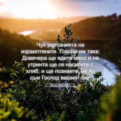 Picture 05 - Изход 16:12 BULG - Чух роптанията на - Bible Verse Picture