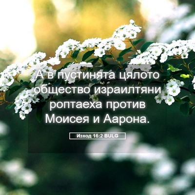 Picture 05 - Изход 16:2 BULG - А в пустинята цялото - Bible Verse Picture