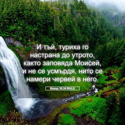 Picture 05 - Изход 16:24 BULG - И тъй, туриха го настрана - Bible Verse Picture
