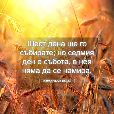 Picture 05 - Изход 16:26 BULG - Шест дена ще го събирате; - Bible Verse Picture