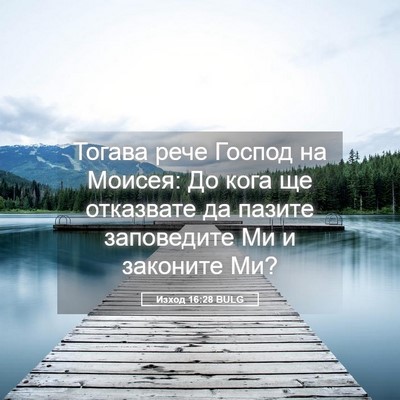 Picture 05 - Изход 16:28 BULG - Тогава рече Господ на - Bible Verse Picture
