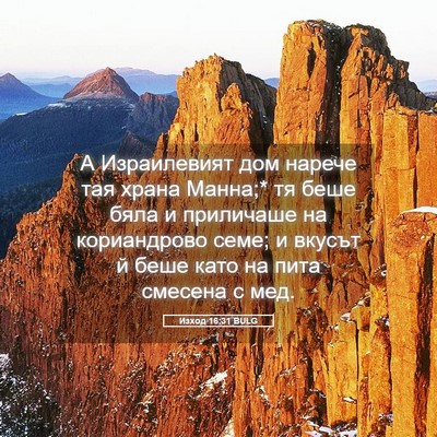 Picture 05 - Изход 16:31 BULG - А Израилевият дом нарече - Bible Verse Picture