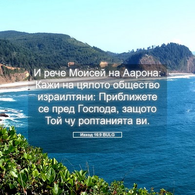 Picture 05 - Изход 16:9 BULG - И рече Моисей на Аарона: - Bible Verse Picture