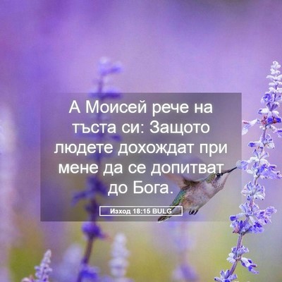 Picture 05 - Изход 18:15 BULG - А Моисей рече на тъста си: - Bible Verse Picture