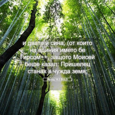 Picture 05 - Изход 18:3 BULG - и двата й сина, (от които на - Bible Verse Picture
