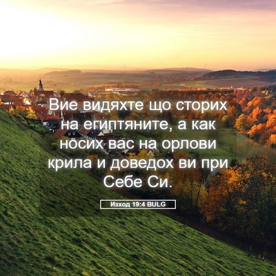 Picture 05 - Изход 19:4 BULG - Вие видяхте що сторих на - Bible Verse Picture