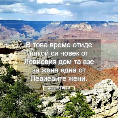 Picture 05 - Изход 2:1 BULG - В това време отиде някой си - Bible Verse Picture
