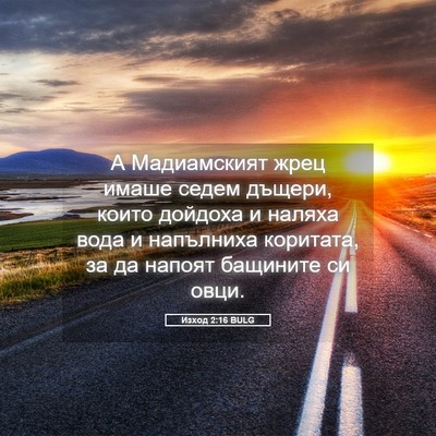 Picture 05 - Изход 2:16 BULG - А Мадиамският жрец имаше - Bible Verse Picture