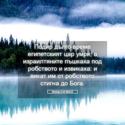 Picture 05 - Изход 2:23 BULG - Подир дълго време - Bible Verse Picture