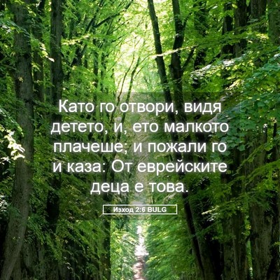 Picture 05 - Изход 2:6 BULG - Като го отвори, видя - Bible Verse Picture