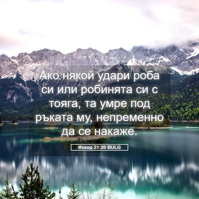 Picture 05 - Изход 21:20 BULG - Ако някой удари роба си или - Bible Verse Picture