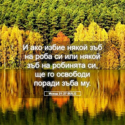 Picture 05 - Изход 21:27 BULG - И ако избие някой зъб на - Bible Verse Picture
