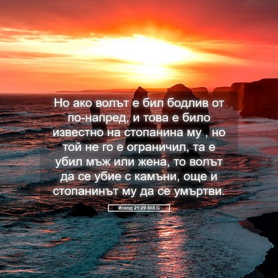 Picture 05 - Изход 21:29 BULG - Но ако волът е бил бодлив - Bible Verse Picture